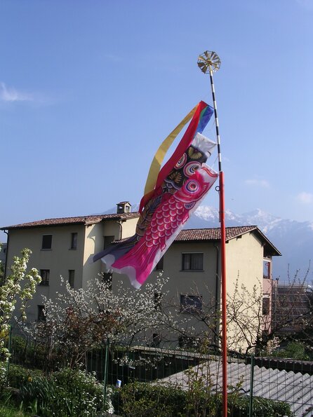 20060408_143648_DSCN4071_1