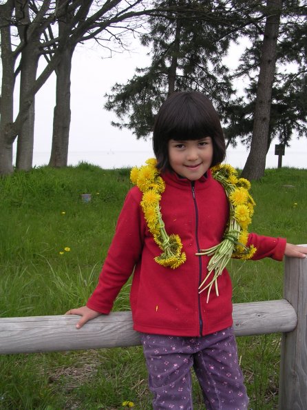 20060430_022046_DSCN4091