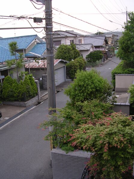20060522_083729_DSCN4204