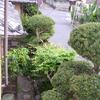 20060522_083749_DSCN4205