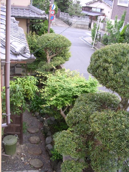 20060522_083749_DSCN4205