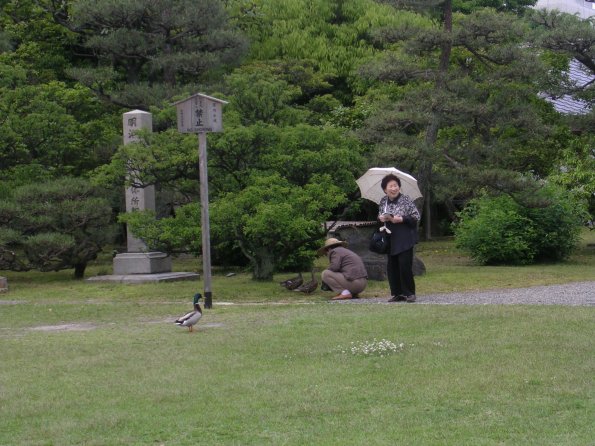 20060524_004844_DSCN4229