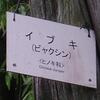 20060524_005234_DSCN4230