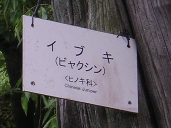 20060524_005234_DSCN4230