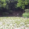 20060524_005512_DSCN4232