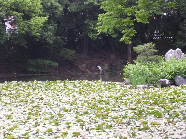 20060524_005512_DSCN4232