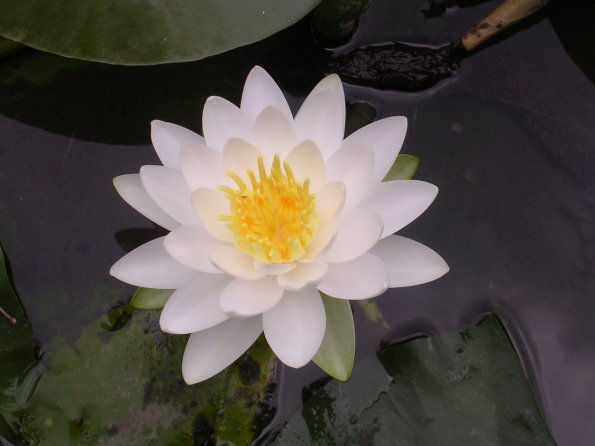 20060524_005540_DSCN4233