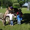 20060603_150941_DSCN4275