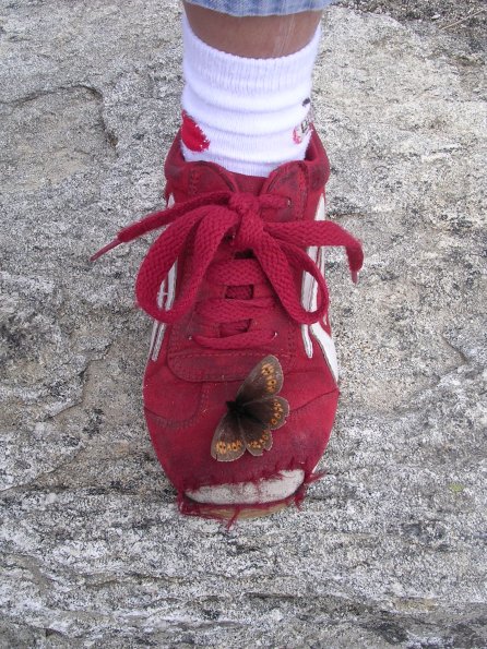 20060708_093719_DSCN4359