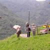 20060709_123414_DSCN4379