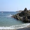 20060801_093826_DSCN4447