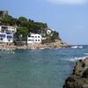 20060801_093858_DSCN4449