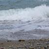 20060804_103834_DSCN4509