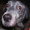 20060814_161432_DSCN4621
