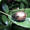 20060818_164518_DSCN4622
