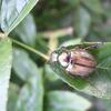 20060818_164754_DSCN4625