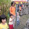 20060902_151221_DSCN4633