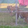 20060902_152127_DSCN4634