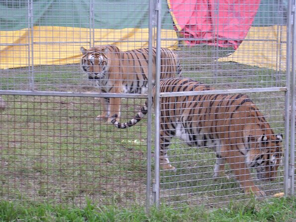 20060902_152127_DSCN4634