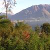 20061029_141739_DSCN4696