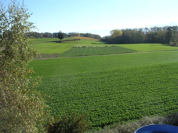 20061103_082017_DSCN4708