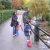 20061118_140925_DSCN4716
