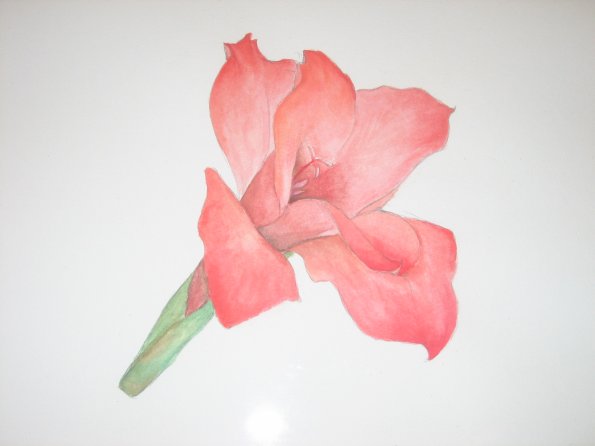 20061202_131835_IMG_0046