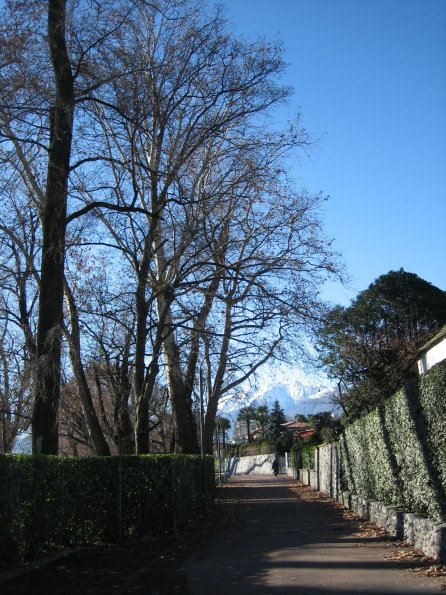 20061213_201915_IMG_0182_orig