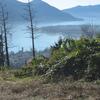 20061214_205706_IMG_0210