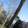20061215_200236_IMG_0238_orig