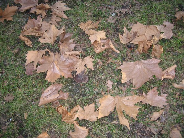 20061220_233415_IMG_0282