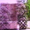 dscn8798