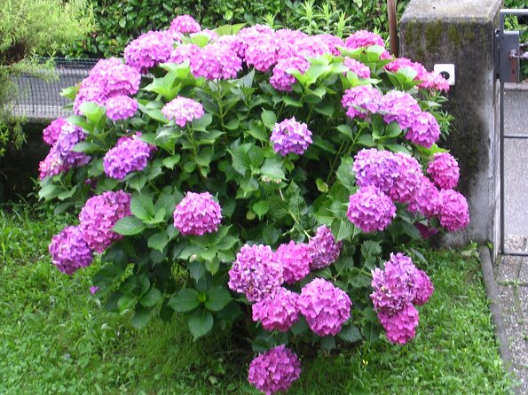 dscn8971