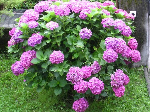 dscn8973