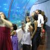 P_DSCN9205