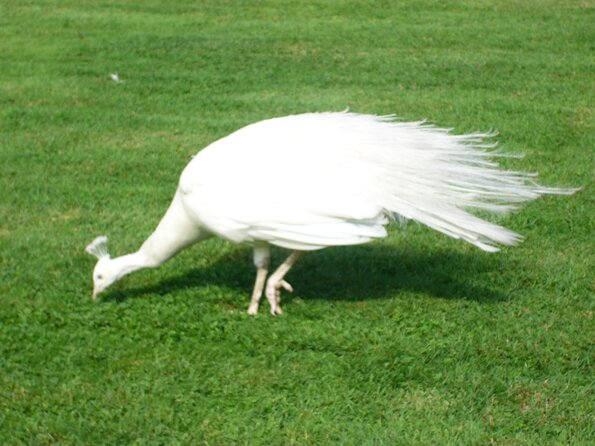 p1020155