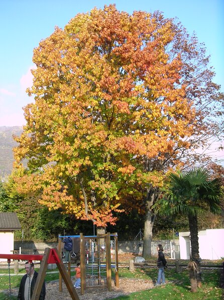 dscn9546