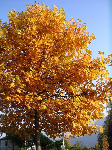 dscn9547