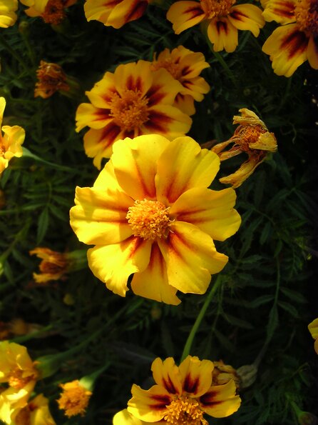 dscn9557