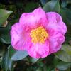20071101_054037_dscn9553
