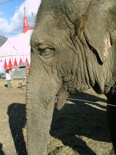 20071114_032939_dscn9587