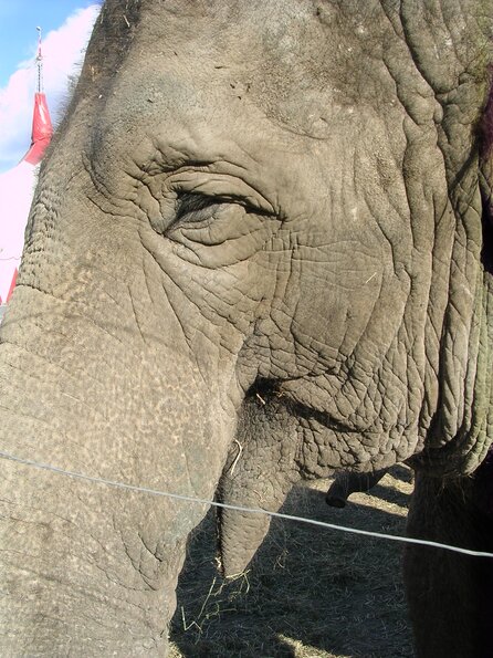 20071114_033006_dscn9588