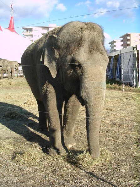 20071114_033043_dscn9589