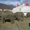 20071114_033054_dscn9590