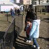 20071114_033131_dscn9591