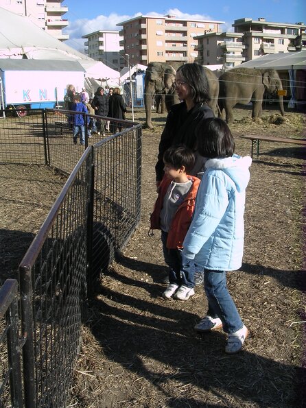 20071114_033131_dscn9591