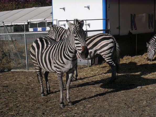 20071114_033552_dscn9593