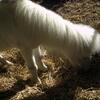 20071114_034316_dscn9596