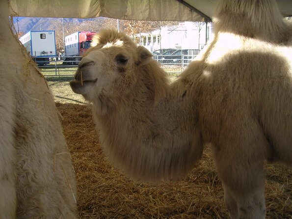 20071114_034341_dscn9597
