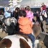 20071114_035433_dscn9598